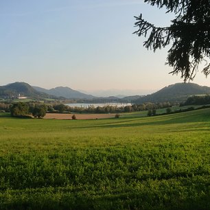 Bild vom Längsee
